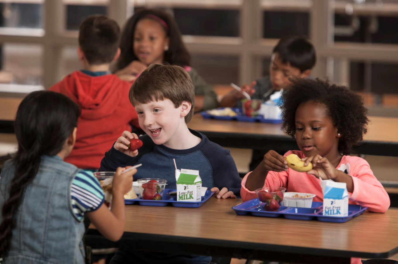 VegNews.SchoolLunch.Flickr